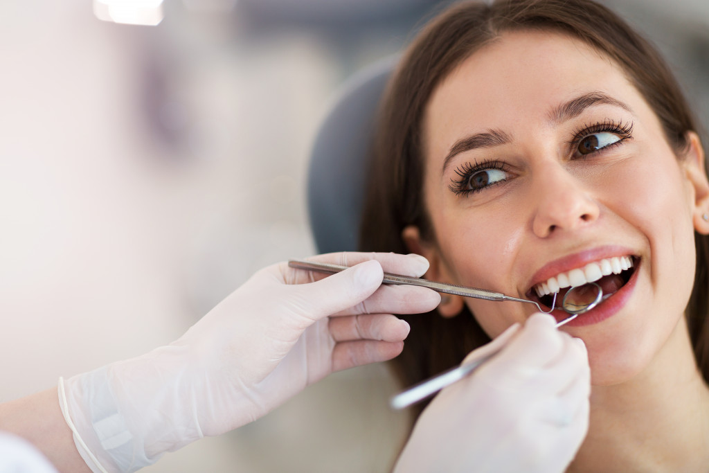 dentist checking the patients dental health